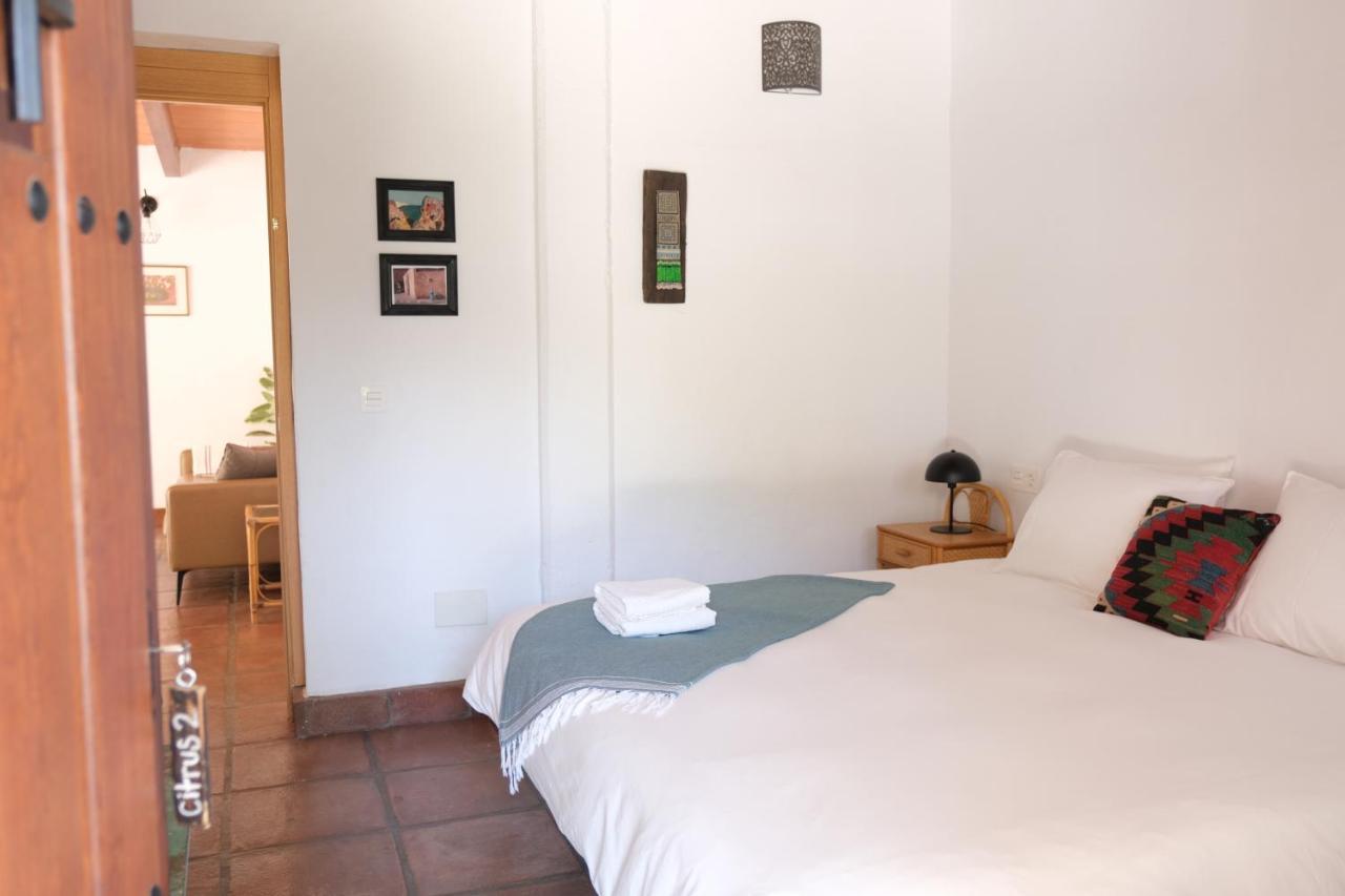 The Wild Olive Andalucia Citrus Suite Casares Dış mekan fotoğraf