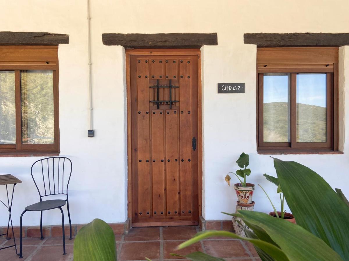 The Wild Olive Andalucia Citrus Suite Casares Dış mekan fotoğraf
