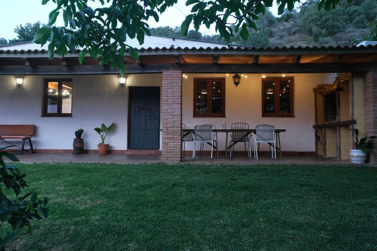 The Wild Olive Andalucia Citrus Suite Casares Dış mekan fotoğraf